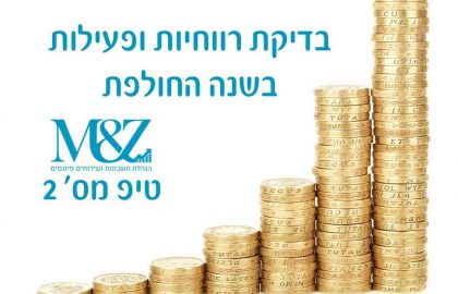 בדיקת רווחיות ופעילות בשנה החולפת